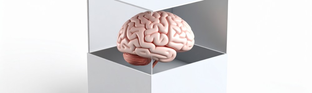 brain in a box